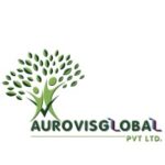 AUROVISGLOBAL PRIVATE LIMITED — IT Intern (Remote)